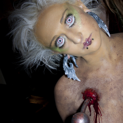 7126_shadow services 1119