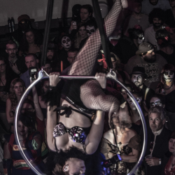 8424_Tf_Nebuleux-fri-30